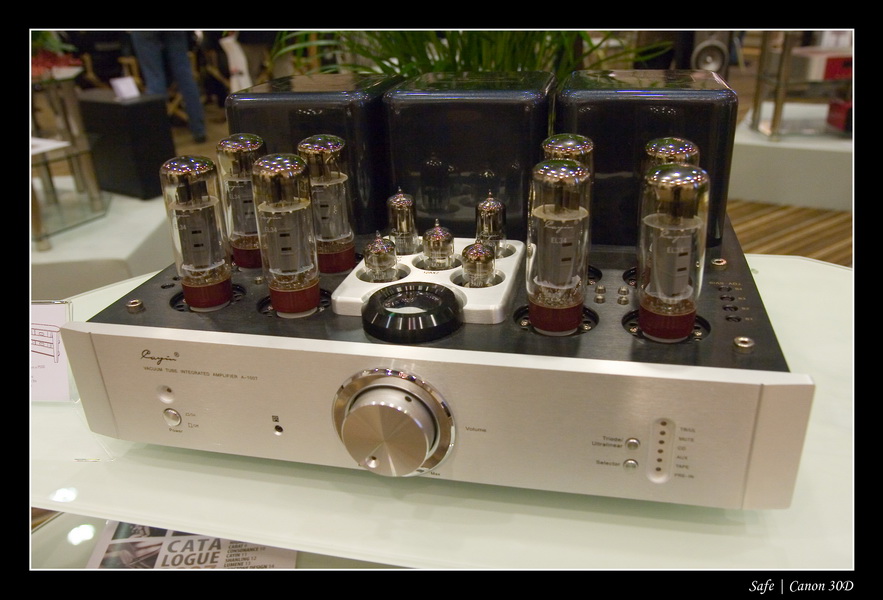 2007 - 03 - Salon hifi sofitel - 027